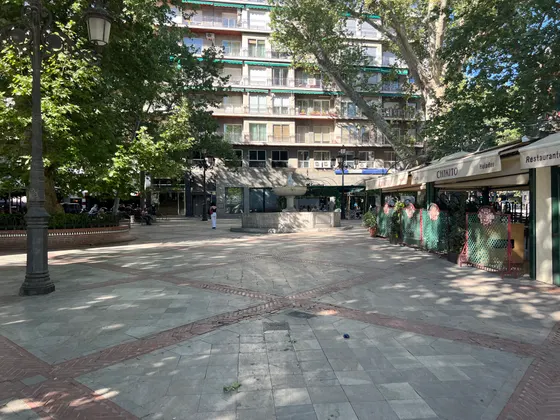 Plaza del Campillo a la sombra de los plátanos, con la fuente en el centro y la terraza de un restaurante con toldos a la derecha.